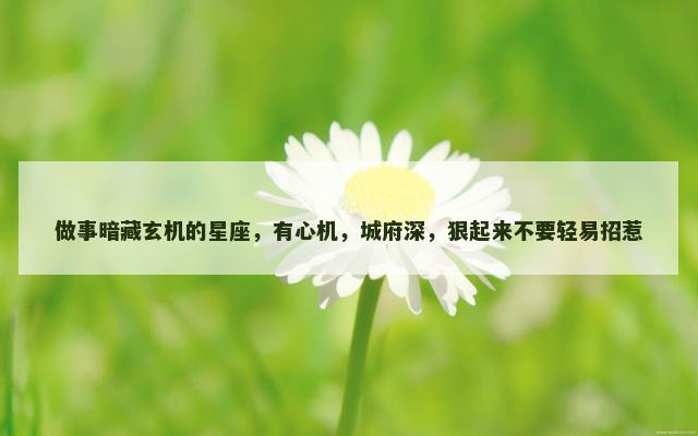 做事暗藏玄机的星座，有心机，城府深，狠起来不要轻易招惹