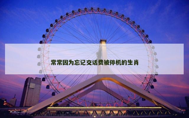 常常因为忘记交话费被停机的生肖