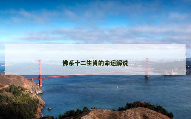 佛系十二生肖的命运解说