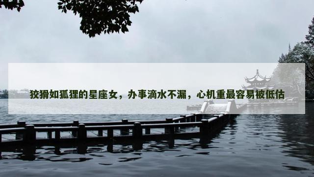 狡猾如狐狸的星座女，办事滴水不漏，心机重最容易被低估