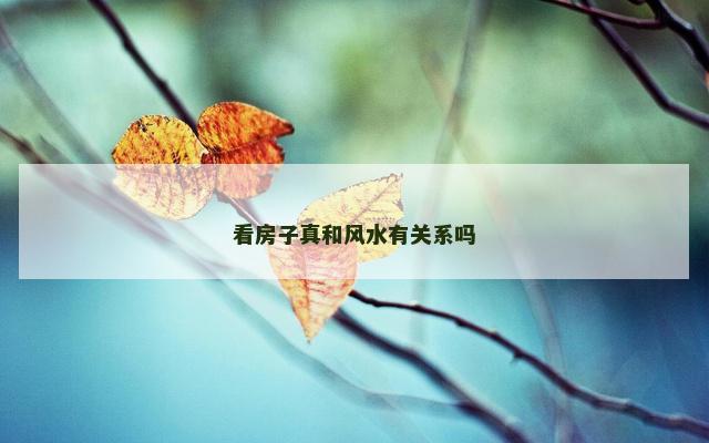 看房子真和风水有关系吗