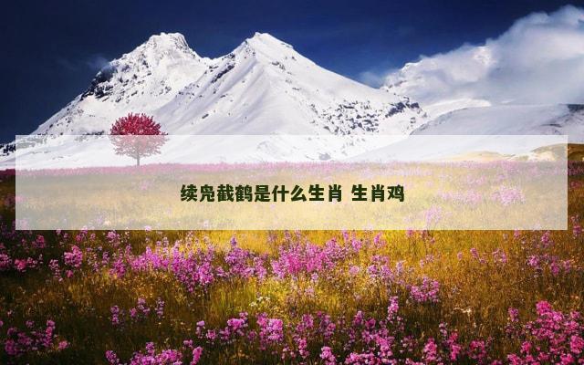 续凫截鹤是什么生肖 生肖鸡