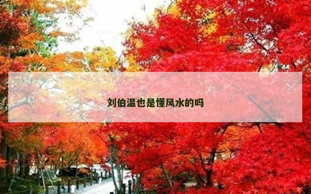 刘伯温也是懂风水的吗
