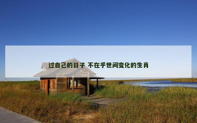 过自己的日子 不在乎世间变化的生肖