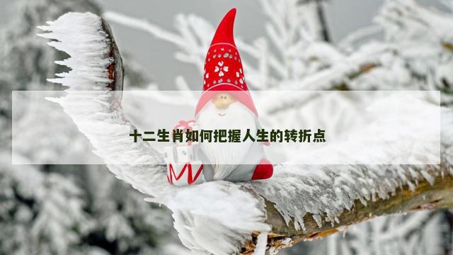 十二生肖如何把握人生的转折点