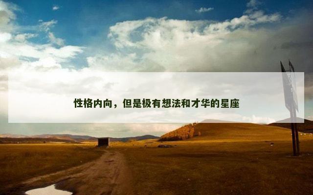 性格内向，但是极有想法和才华的星座