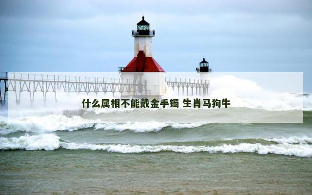 什么属相不能戴金手镯 生肖马狗牛