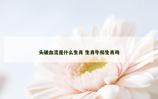 头破血流是什么生肖 生肖牛和生肖鸡
