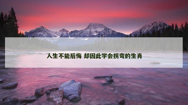 人生不能后悔 却因此学会拐弯的生肖