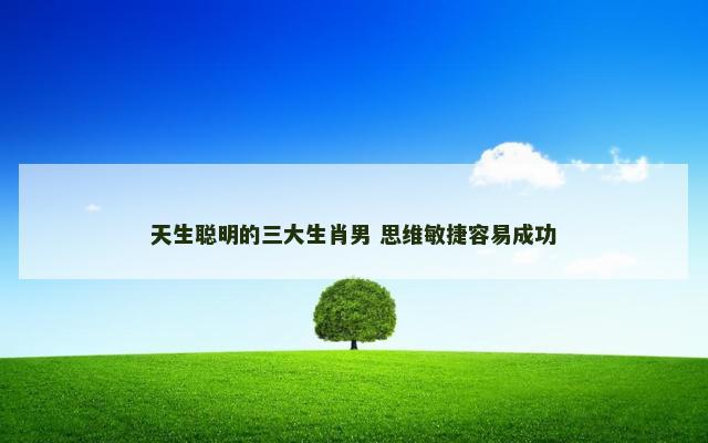 天生聪明的三大生肖男 思维敏捷容易成功