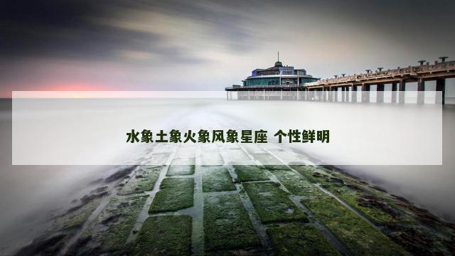 水象土象火象风象星座 个性鲜明