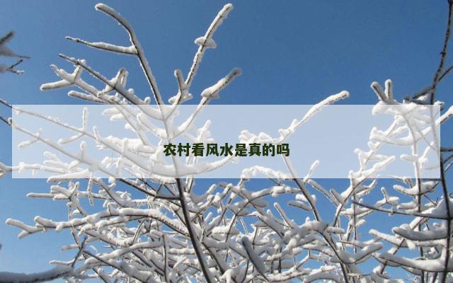 农村看风水是真的吗