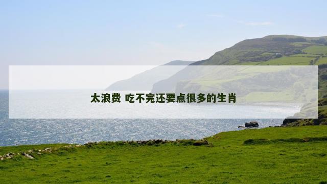太浪费 吃不完还要点很多的生肖