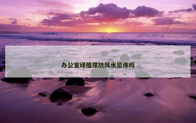 办公室绿植摆放风水忌讳吗