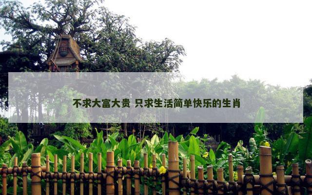 不求大富大贵 只求生活简单快乐的生肖