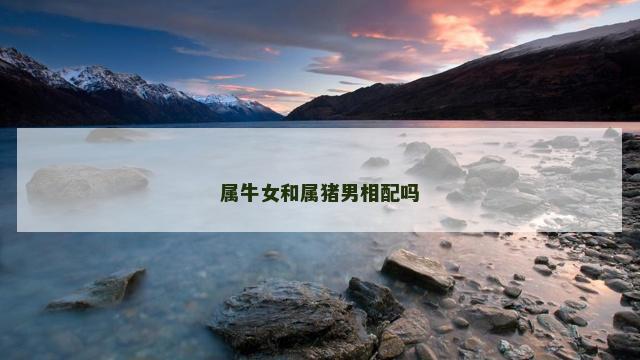 属牛女和属猪男相配吗