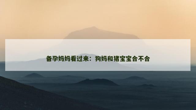 备孕妈妈看过来：狗妈和猪宝宝合不合