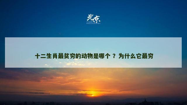 十二生肖最贫穷的动物是哪个 ？为什么它最穷