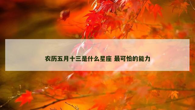 农历五月十三是什么星座 最可怕的能力