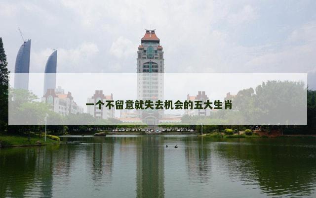 一个不留意就失去机会的五大生肖