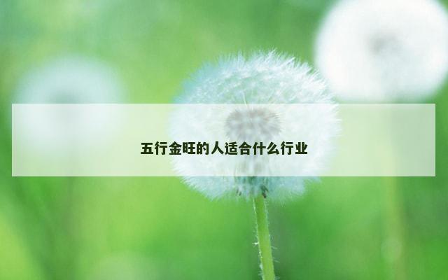 五行金旺的人适合什么行业