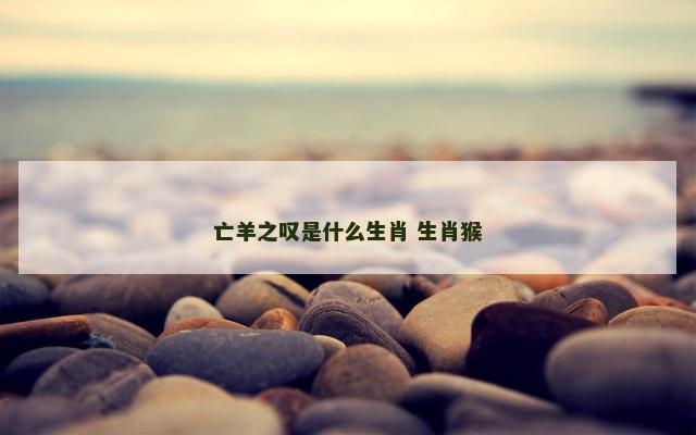 亡羊之叹是什么生肖 生肖猴