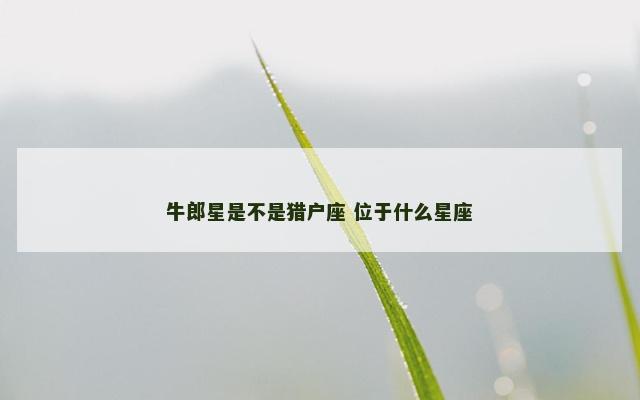 牛郎星是不是猎户座 位于什么星座