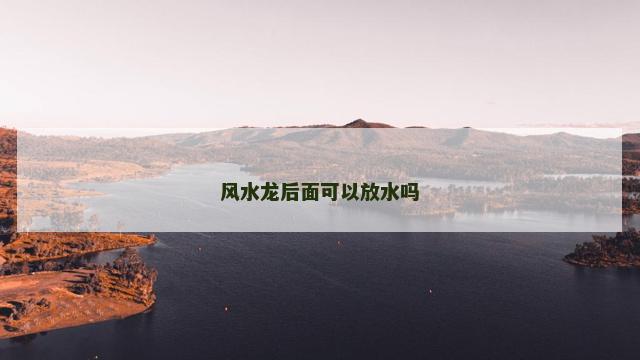 风水龙后面可以放水吗