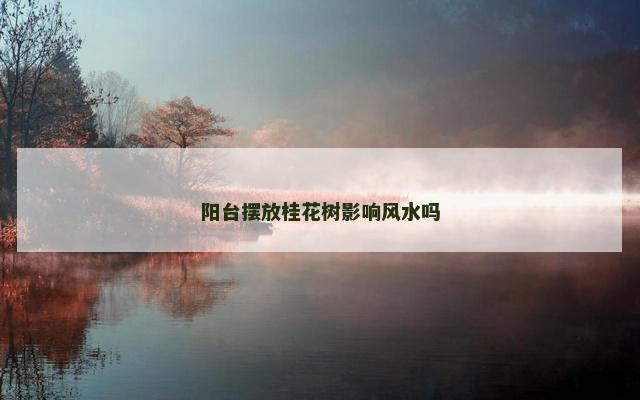 阳台摆放桂花树影响风水吗