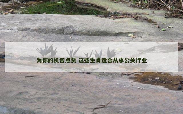 为你的机智点赞 这些生肖适合从事公关行业