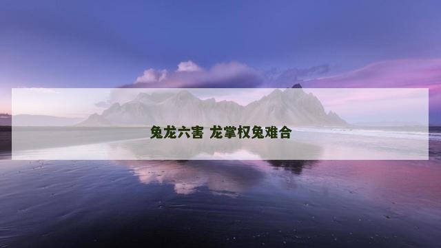 兔龙六害 龙掌权兔难合