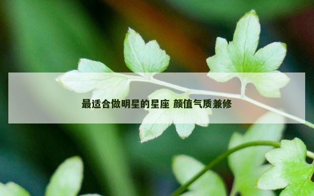 最适合做明星的星座 颜值气质兼修