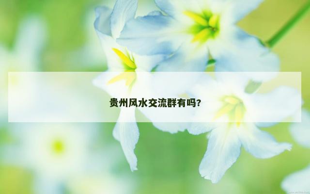 贵州风水交流群有吗?