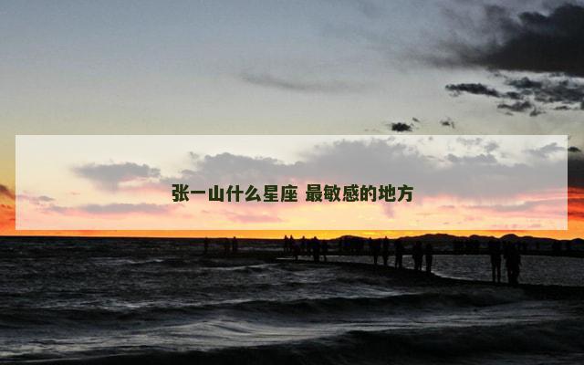 张一山什么星座 最敏感的地方