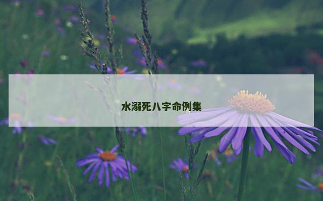 水溺死八字命例集