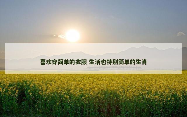 喜欢穿简单的衣服 生活也特别简单的生肖