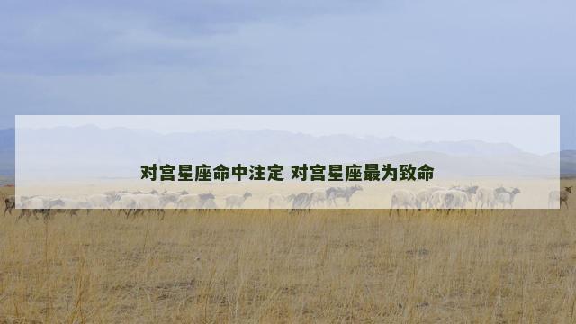 对宫星座命中注定 对宫星座最为致命
