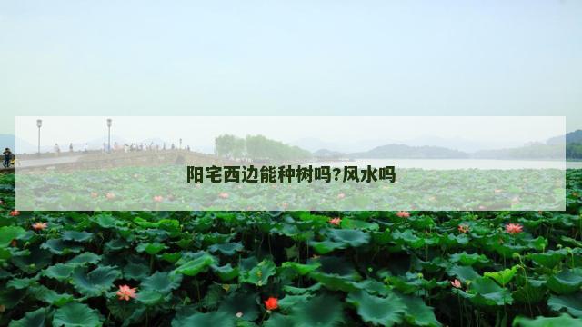阳宅西边能种树吗?风水吗