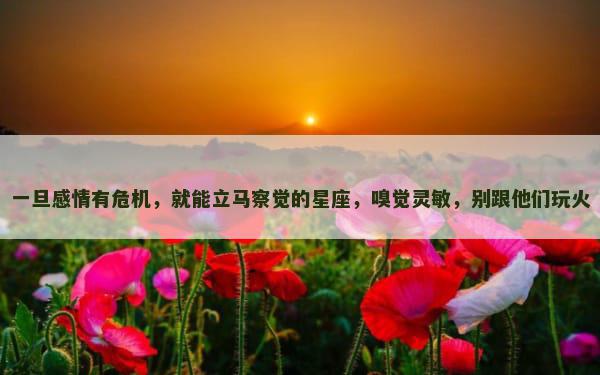 一旦感情有危机，就能立马察觉的星座，嗅觉灵敏，别跟他们玩火