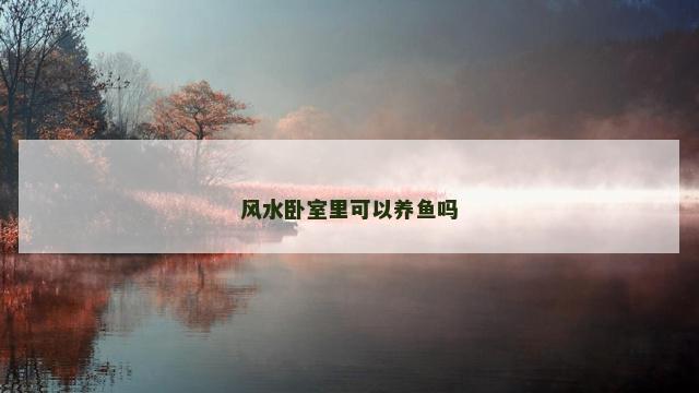 风水卧室里可以养鱼吗