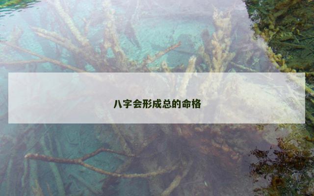 八字会形成总的命格