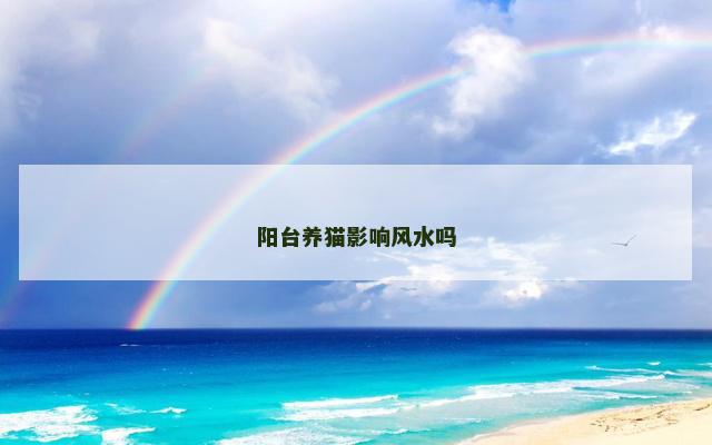 阳台养猫影响风水吗