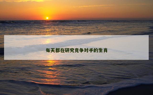 每天都在研究竞争对手的生肖