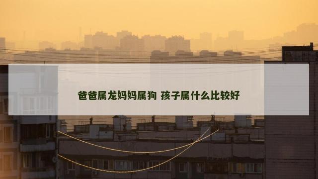 爸爸属龙妈妈属狗 孩子属什么比较好