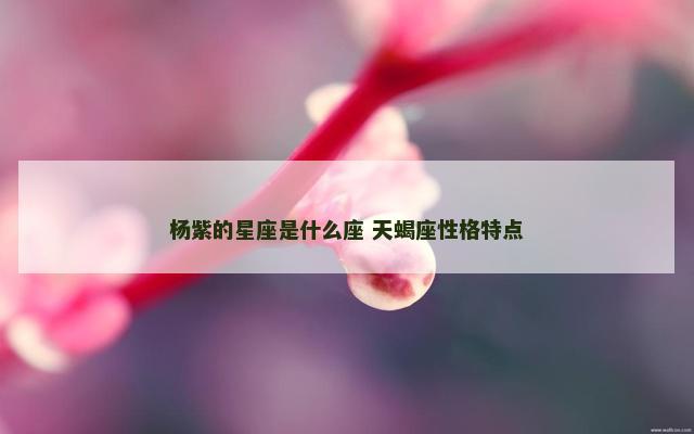 杨紫的星座是什么座 天蝎座性格特点