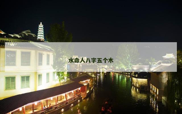 水命人八字五个木
