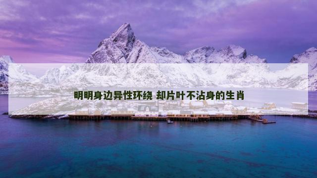 明明身边异性环绕 却片叶不沾身的生肖