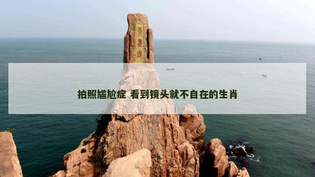 拍照尴尬症 看到镜头就不自在的生肖