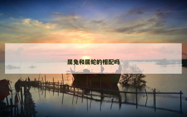 属兔和属蛇的相配吗