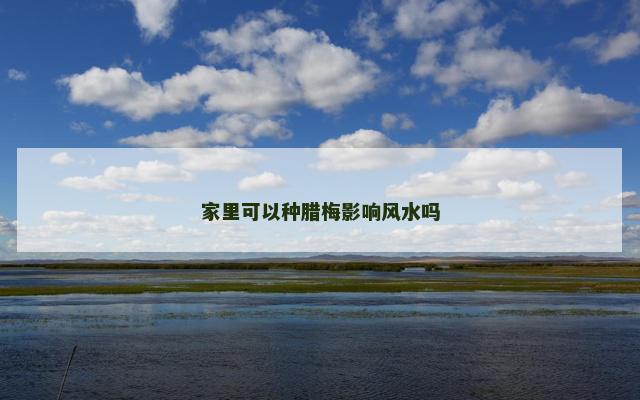 家里可以种腊梅影响风水吗